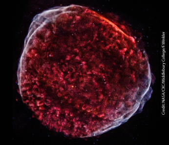 Chandra image of SN1006