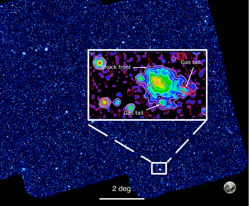 An intermediate mass galaxy cluster that has undergone a major merger event was discovered in the eROSITA Equatorial Depth Survey by eROSITA 