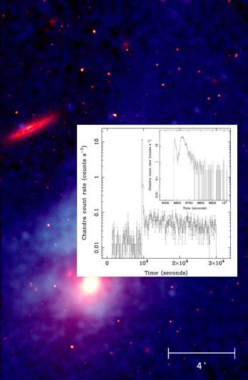 Chandra light curves of a new type of explosive X-ray flash in the field of the old elliptical galaxy M86.