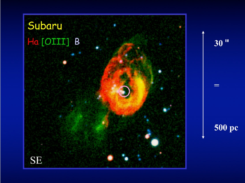 Ultra-Luminous X-Ray Sources: When Compact Objects Become Gluttonous Accretors