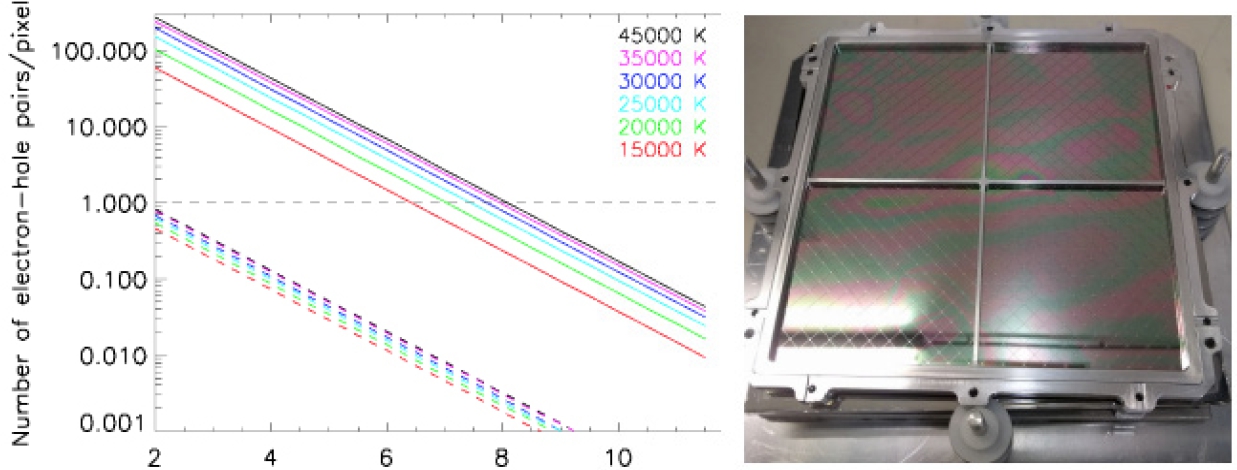 Protecting the Athena/WFI from UV and visible light