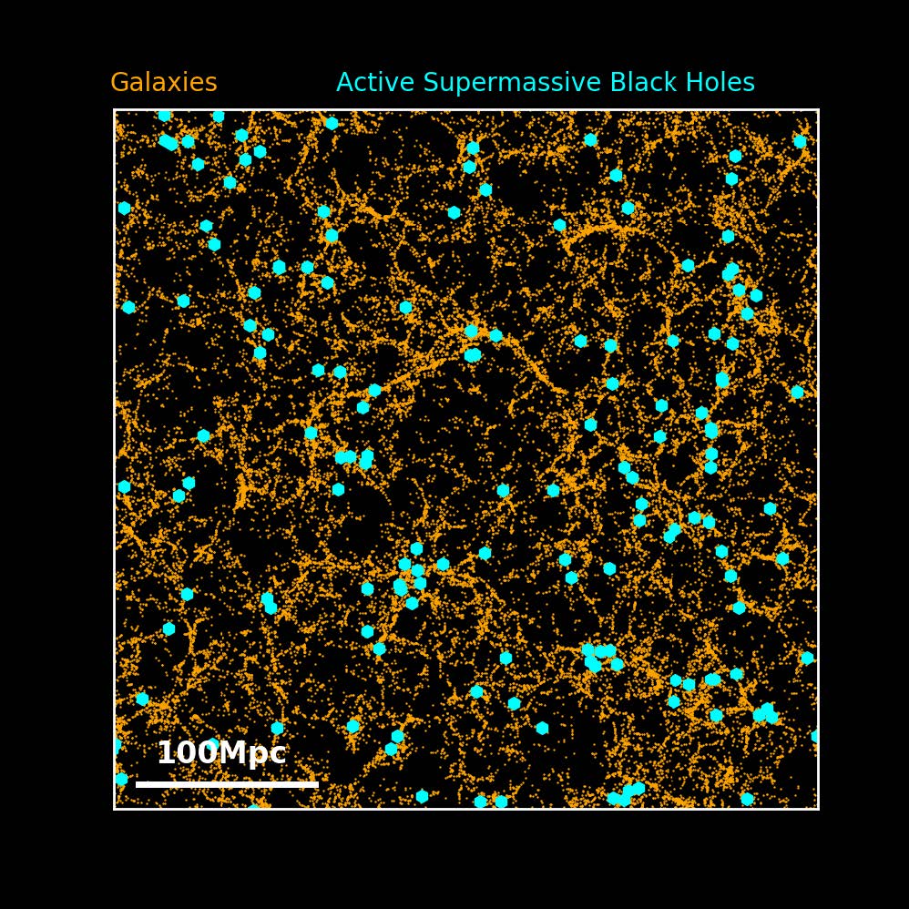 Connecting supermassive black-holes with the cosmic web