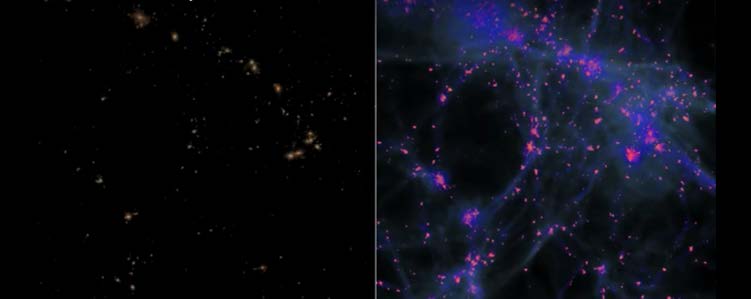 The filamentary structure of the Universe