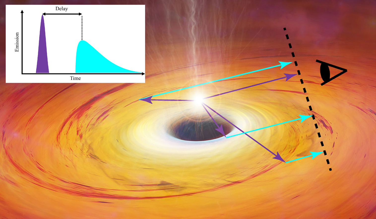 X-ray Echoes From Accreting Black Holes