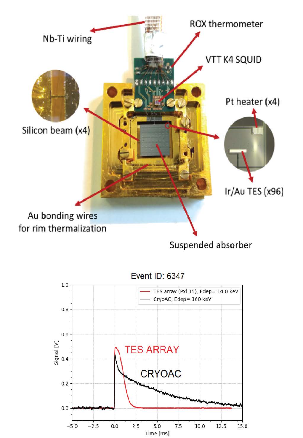 Finding the needle in the haystack: The Cryogenic AntiCoincidence