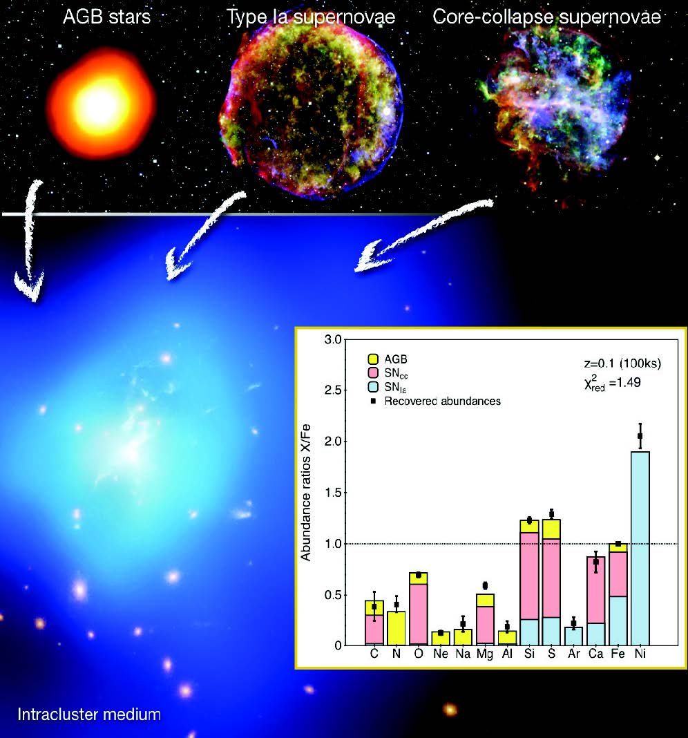 Gazing into the History of the Universe: How Stars and Supernovae Shape the Chemistry of Galaxy Clusters