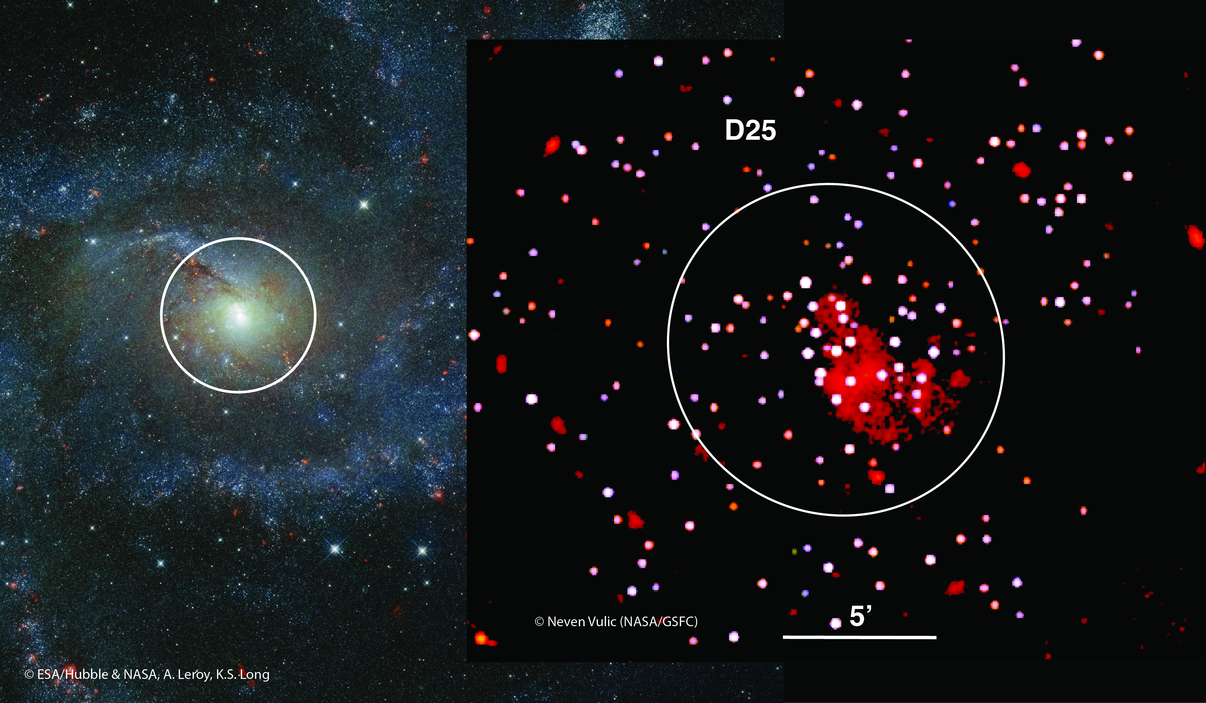Fireworks_Galaxy_WFI_simulation