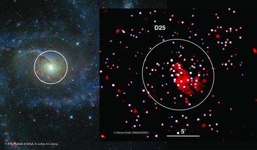 fireworksgalaxy_wfisimulation
